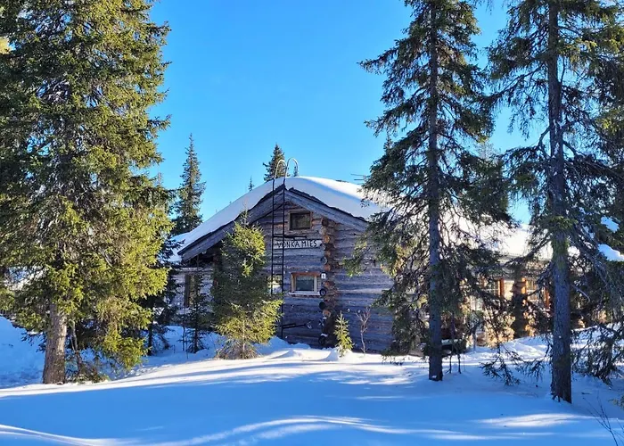 Vonkamies لووُستو